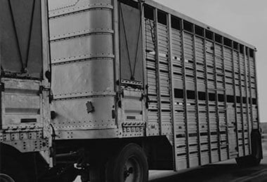Trailers